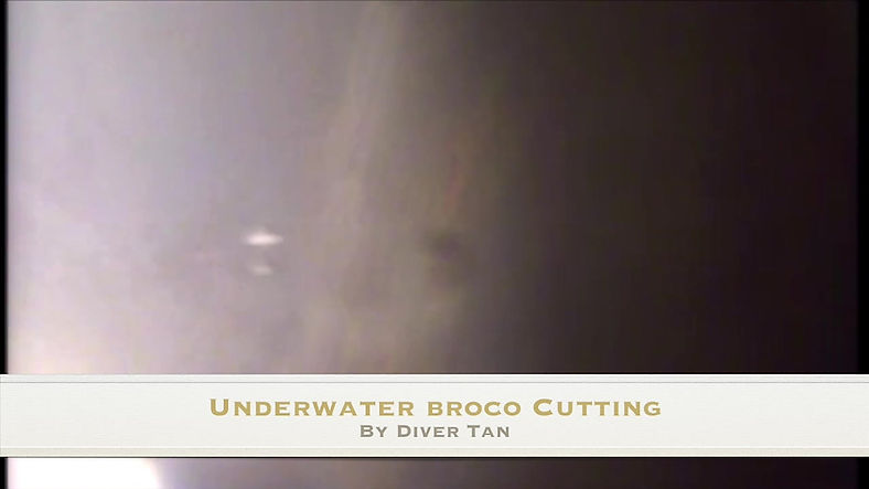 Underwater Broco Cutting